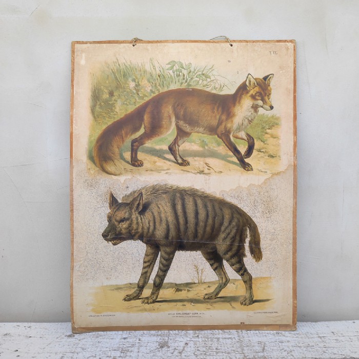 Miniatura di questo articolo
