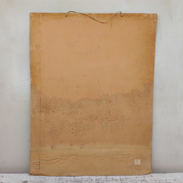 Passa il mouse sull'immagine per ingrandire Poster tavola didattica volpe e iena vintage - foto 9