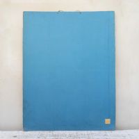 Ingrandisci l'immagine Poster tavola didattica tortore piccione e colomba vintage - miniatura 12