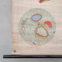 Ingrandisci l'immagine Miniatura dell'articolo Poster Poster didattico medico apparato respiratorio vintage n.401