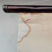 Ingrandisci l'immagine Miniatura dell'articolo Poster Poster didattico medico apparato respiratorio vintage n.401