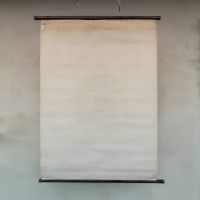 Ingrandisci l'immagine Miniatura dell'articolo Poster Poster didattico medico apparato respiratorio vintage n.401