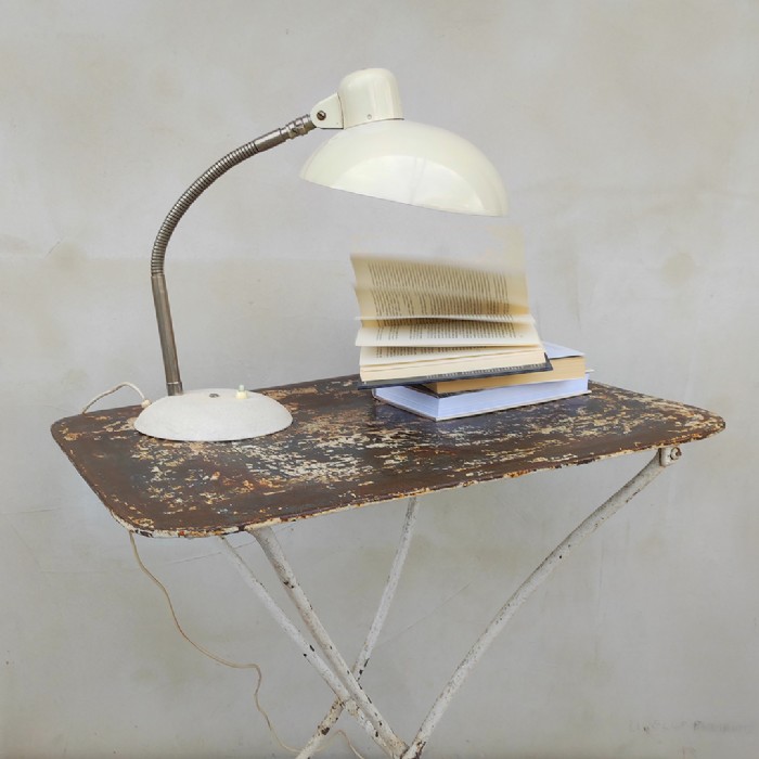 Immagine dell'articolo Tavolo Tavolino pieghevole da giardino vintage n.436