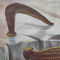 Miniatura dell'articolo Poster Poster didattico de la sanguisuga vintage n.387