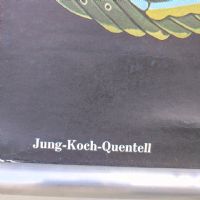 Miniatura dell'articolo Poster Poster didattico de la sanguisuga vintage n.387