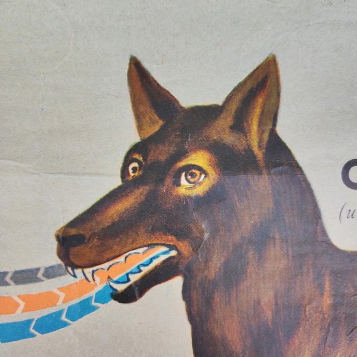 Immagine dell'articolo Poster Poster didattico alimentazione delle piante e degli animali vintage n.438