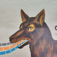 Miniatura dell'articolo Poster Poster didattico alimentazione delle piante e degli animali vintage n.438