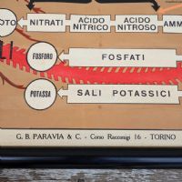 Miniatura dell'articolo Poster Poster didattico alimentazione delle piante e degli animali vintage n.438