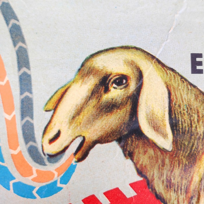 Immagine dell'articolo Poster Poster didattico alimentazione delle piante e degli animali vintage n.438