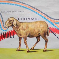 Miniatura dell'articolo Poster Poster didattico alimentazione delle piante e degli animali vintage n.438