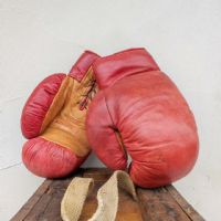 Miniatura dell'articolo Sport Guantoni da boxe Vintage n.388