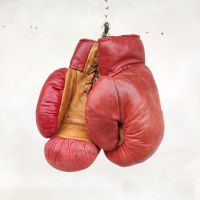 Miniatura dell'articolo Sport Guantoni da boxe Vintage n.388