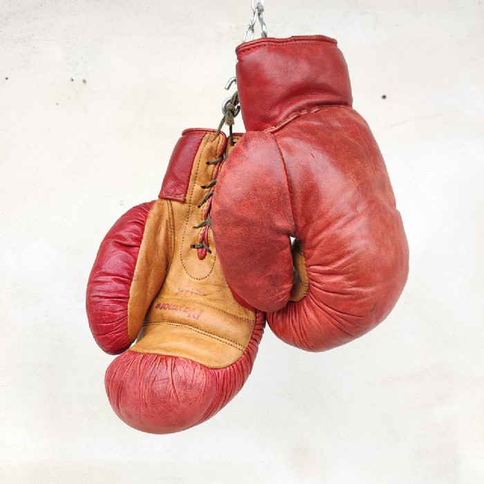 Miniatura di questo articolo