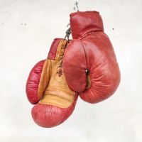 Miniatura dell'articolo Sport Guantoni da boxe Vintage n.388