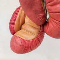 Miniatura dell'articolo Sport Guantoni da boxe Vintage n.388