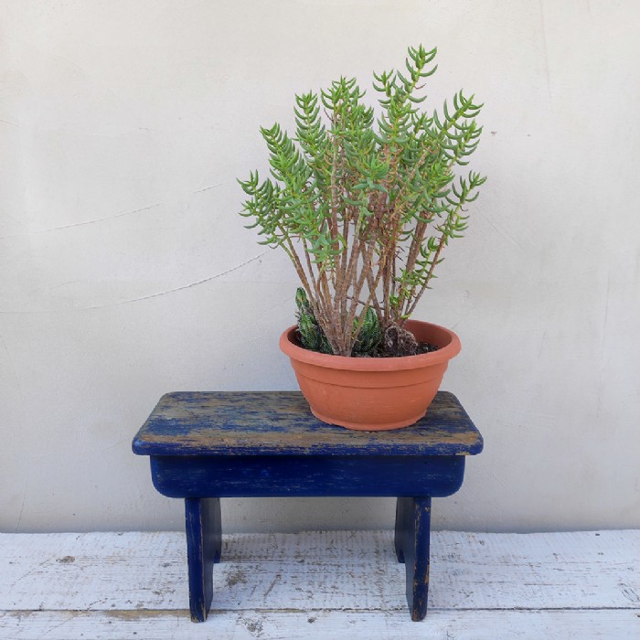 Immagine dell'articolo Sgabello rurale vintage Sgabello rurale di campagna vintage n.439