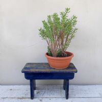 Miniatura dell'articolo Sgabello rurale vintage Sgabello rurale di campagna vintage n.439