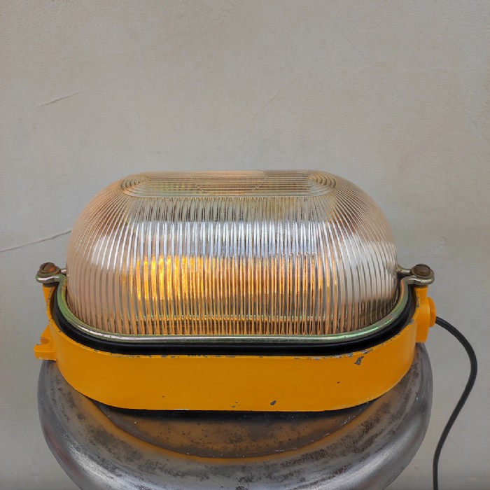 Immagine dell'articolo Lampada da parete Plafoniera industriale da parete o soffitto n.455