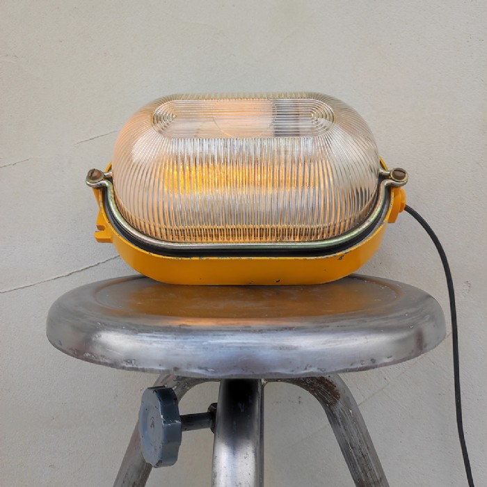 Immagine dell'articolo Lampada da parete Plafoniera industriale da parete o soffitto n.455
