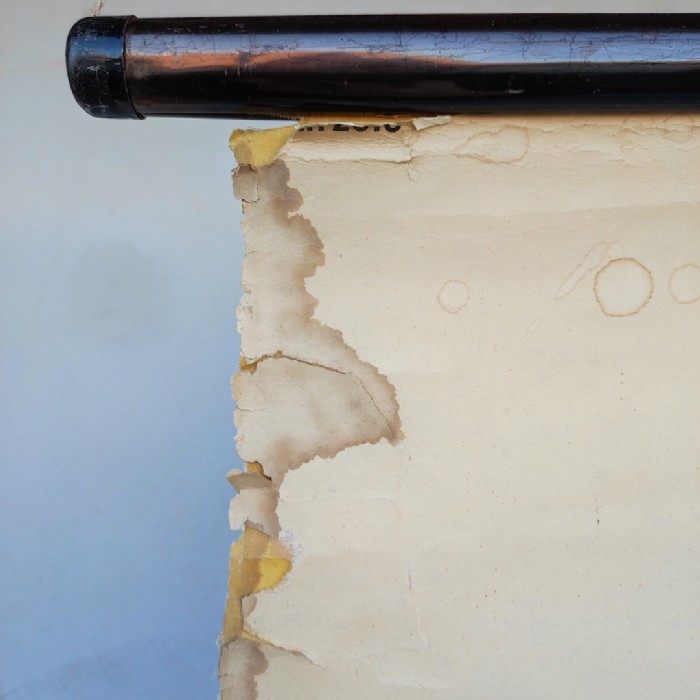 Immagine dell'articolo Poster Poster didattico apparato circolatorio umano vintage n.440