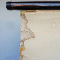 Miniatura dell'articolo Poster Poster didattico apparato circolatorio umano vintage n.440