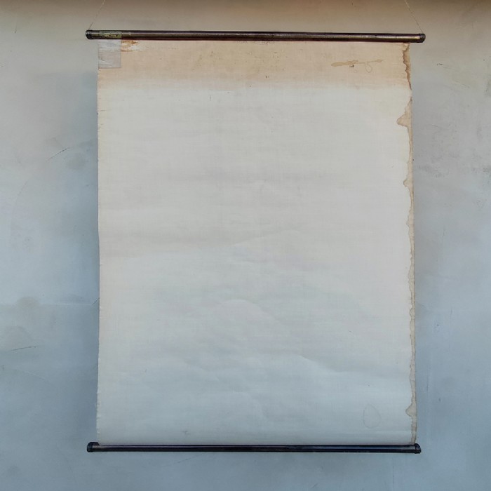 Immagine dell'articolo Poster Poster didattico apparato circolatorio umano vintage n.440