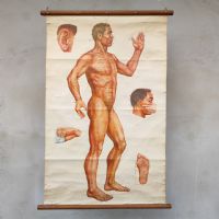 Poster didattico di agopuntura cinese vintage n°NaN di colore Misto