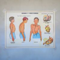 Miniatura dell'articolo Poster didattico Escrezione e Igiene soccorso - Oggetto n.252