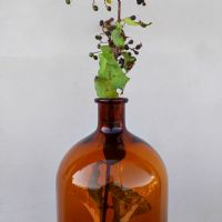 Miniatura dell'articolo Bottiglia da farmacia in vetro ambrato 6 Lt vintage - Oggetto n.180