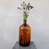 Miniatura dell'articolo Bottiglia da farmacia in vetro ambrato 6 Lt vintage - Oggetto n.180