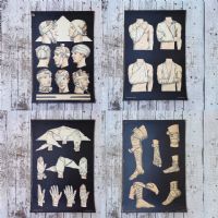 Ingrandisci l'immagine Miniatura dell'articolo Poster Set di 4 poster medici didattici anni 30 n.321