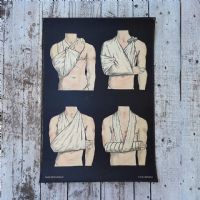 Ingrandisci l'immagine Miniatura dell'articolo Poster Set di 4 poster medici didattici anni 30 n.321