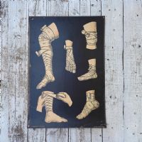 Ingrandisci l'immagine Miniatura dell'articolo Poster Set di 4 poster medici didattici anni 30 n.321