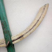 Miniatura dell'articolo Compasso in legno da falegname epoca fine '800 - Oggetto n.185