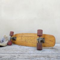 Ingrandisci l'immagine Miniatura dell'articolo Sport Skateboard anni 70 Val2000 vintage n.475