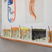 Miniatura dell'articolo Poster Poster didattico organi di senso e sistema nervoso vintage n.446