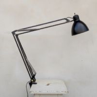 Miniatura dell'articolo Lampada da scrivania Naska Loris Luxo Jac Jacobsen - Oggetto n.311