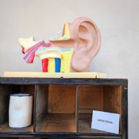 Ingrandisci l'immagine Casellario industriale in legno vintage - miniatura 16