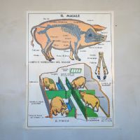 Miniatura dell'articolo Poster Il gatto e Il maiale - Oggetto n.243