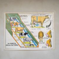 Miniatura dell'articolo Poster La mucca nella fattoria e Il cavallo - Oggetto n.244