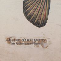 Ingrandisci l'immagine Poster tavola didattica pesce persico e carpa vintage - miniatura 9