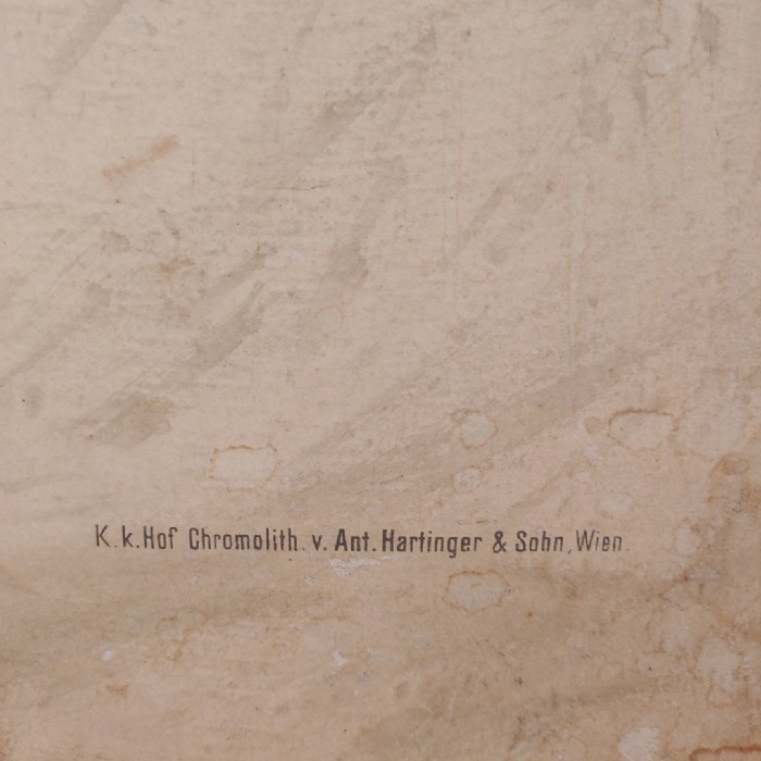 Passa il mouse sull'immagine per ingrandire Poster tavola didattica pesce persico e carpa vintage - foto 10