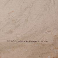 Ingrandisci l'immagine Poster tavola didattica pesce persico e carpa vintage - miniatura 10