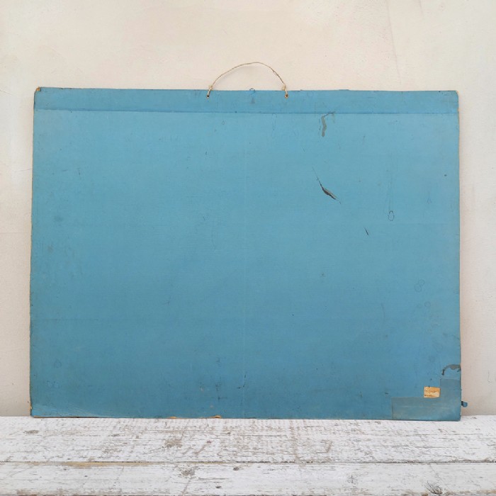 Passa il mouse sull'immagine per ingrandire Poster tavola didattica pesce persico e carpa vintage - foto 11
