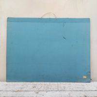 Ingrandisci l'immagine Poster tavola didattica pesce persico e carpa vintage - miniatura 11