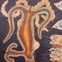 Ingrandisci l'immagine Miniatura dell'articolo Poster Poster didattico il polpo d'acqua dolce vintage n.451