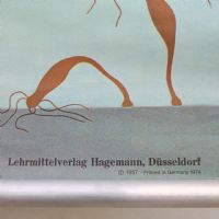 Ingrandisci l'immagine Miniatura dell'articolo Poster Poster didattico il polpo d'acqua dolce vintage n.451