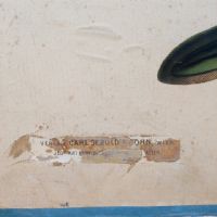Poster tavola didattica trota aringa e anguilla vintage - miniatura 9