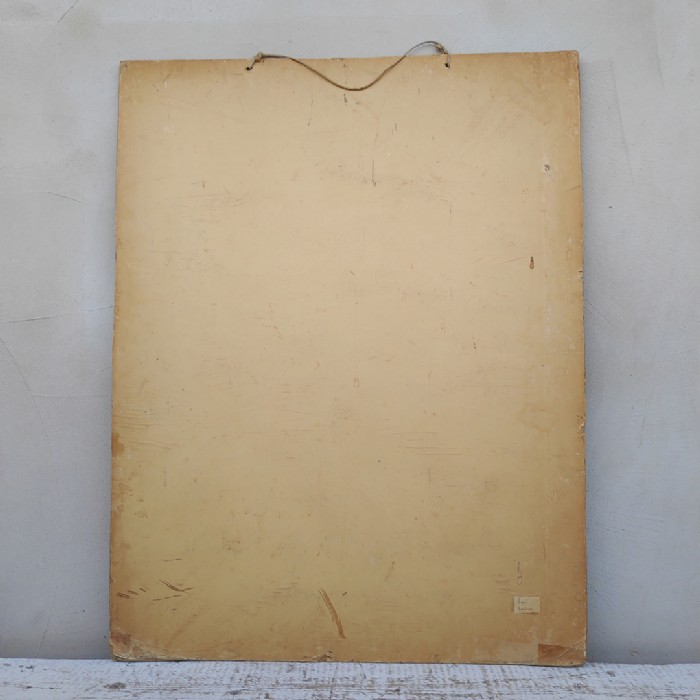 Passa il mouse sull'immagine per ingrandire Poster tavola didattica lepre e castoro vintage - foto 9