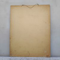 Ingrandisci l'immagine Poster tavola didattica lepre e castoro vintage - miniatura 9